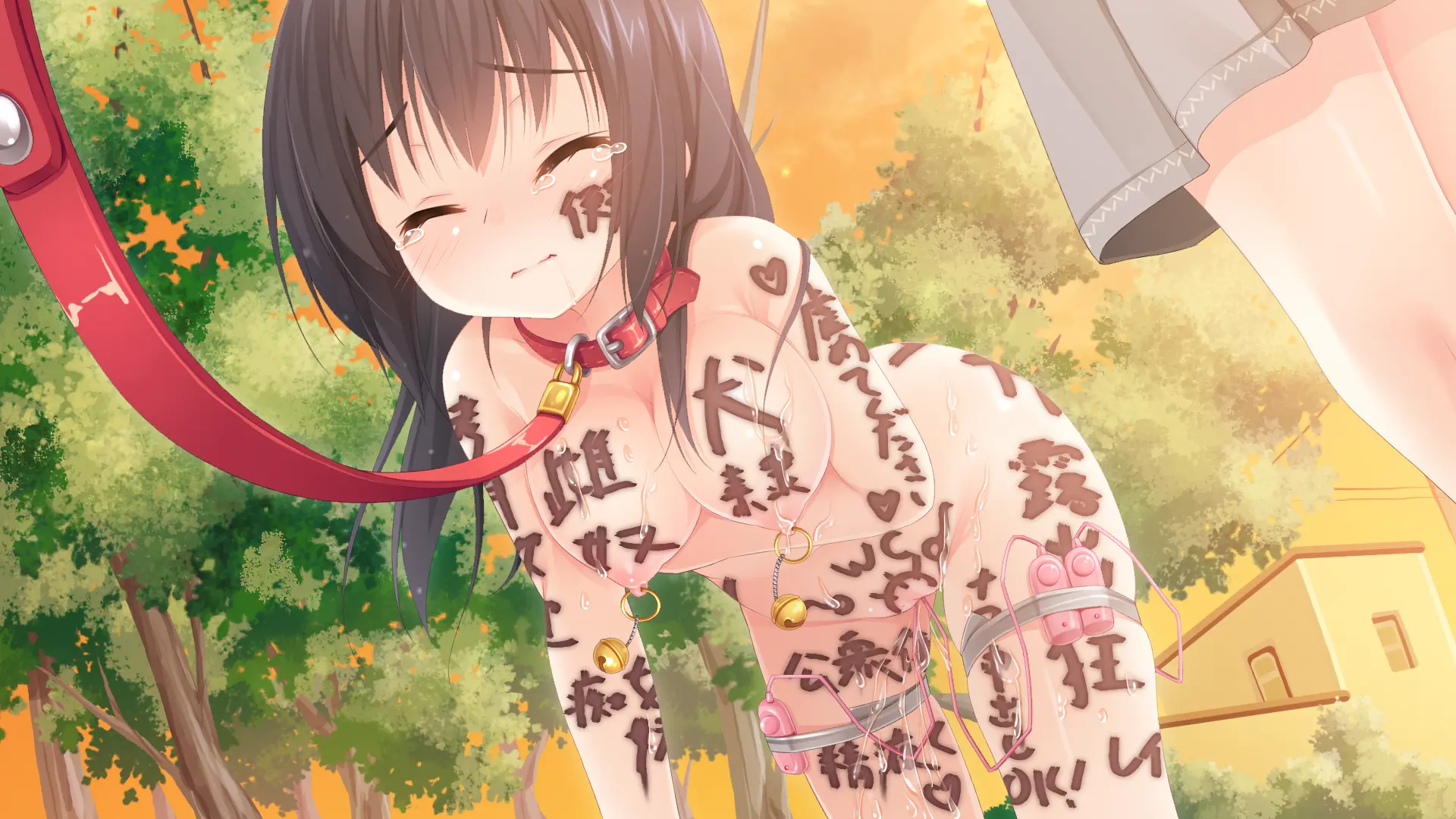 Gyakutaiyou Seidorei No Imouto.